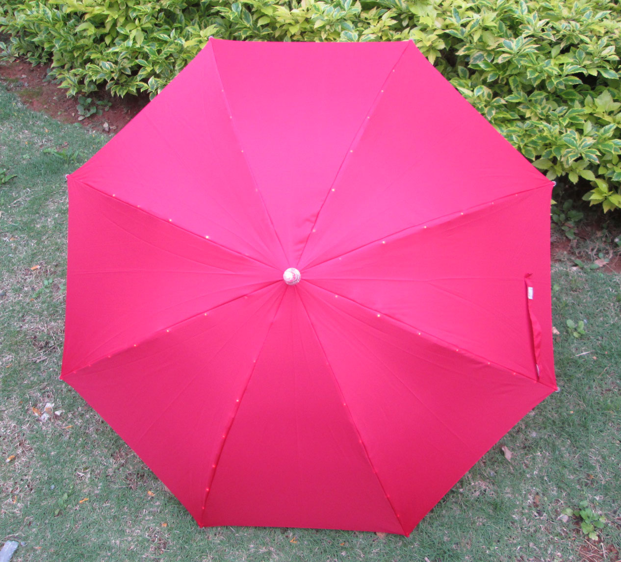 LED light umbrella-LL016b