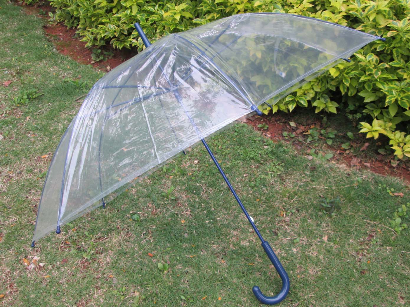 EVA&POE umbrella-PU021