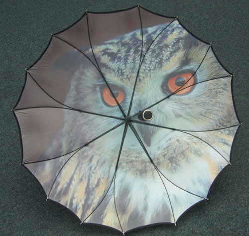 Special umbrella-SP008b