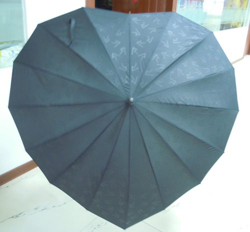 Special umbrella-SP014