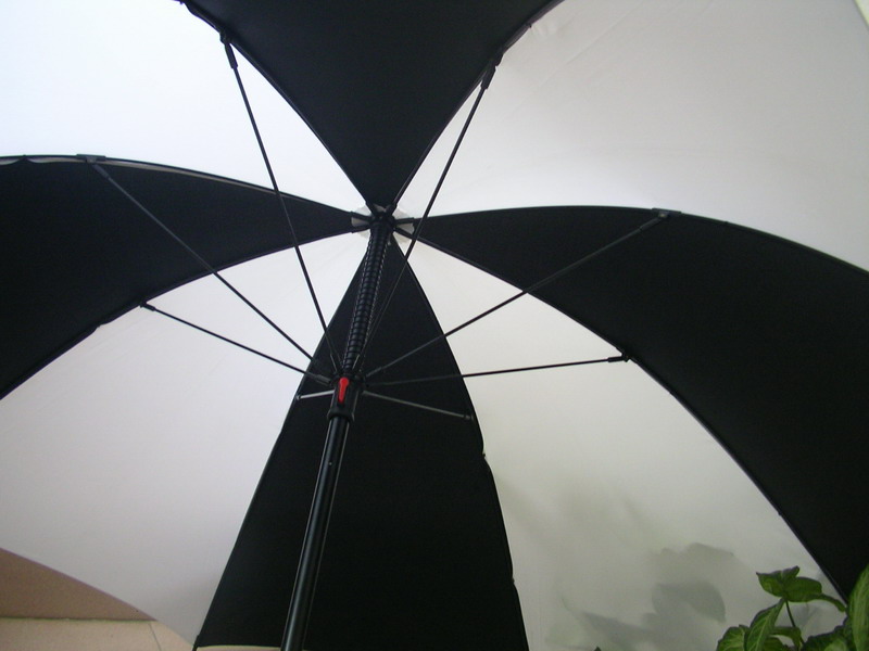 Special umbrella-SP018b