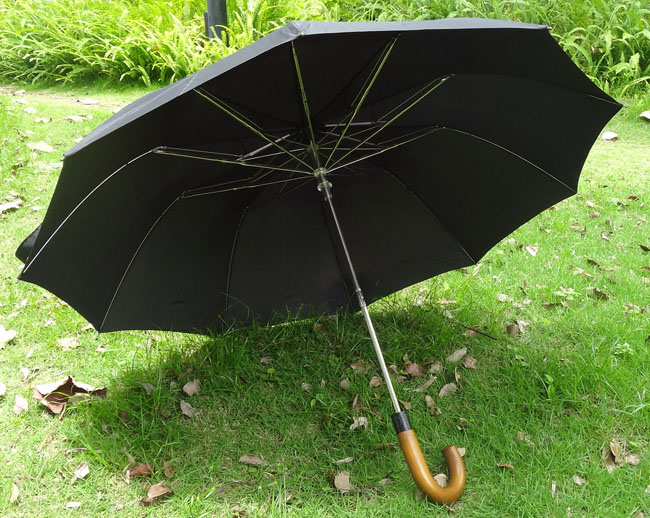 Special umbrella-SP022b