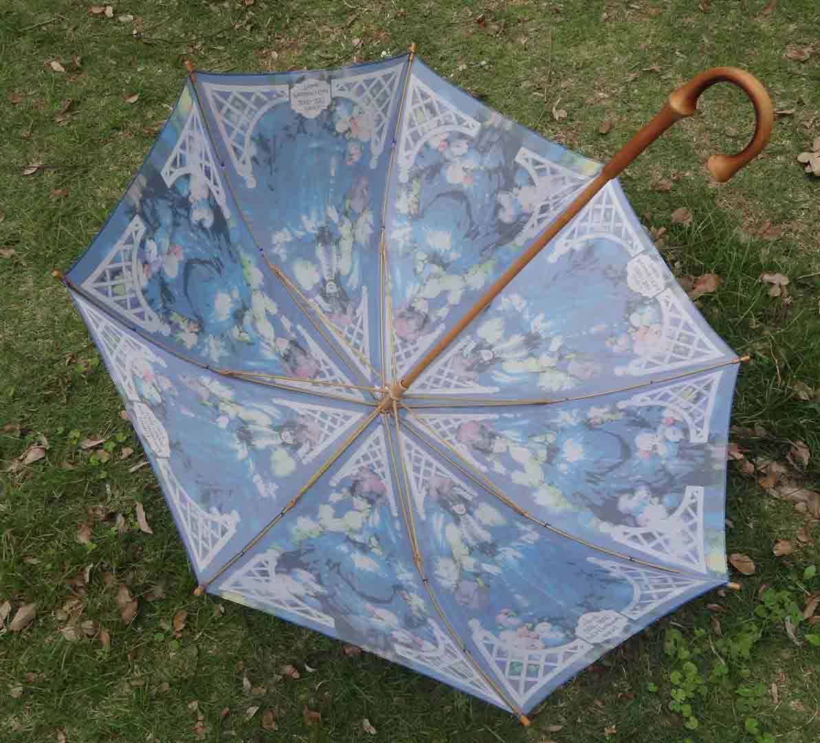 Special umbrella-SP026
