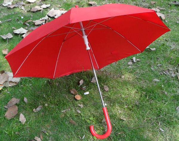 Special umbrella-SP027b