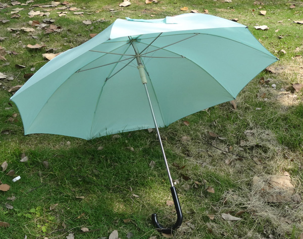 Special umbrella-SP028b