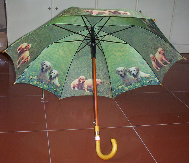 Straight umbrella-SU030