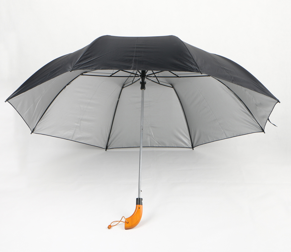 2-section umbrella-F2U020